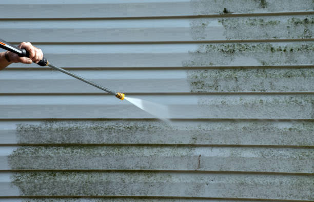 Best Home Mold Removal  in Marbleton, WY