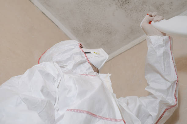 Best Fast Mold Removal  in Marbleton, WY